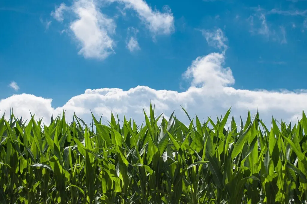 découvrez comment la croissance du cloud transforme les entreprises, optimise leur infrastructure et améliore leur agilité. explorez les tendances, solutions et avantages du cloud computing pour un avenir numérique réussi.