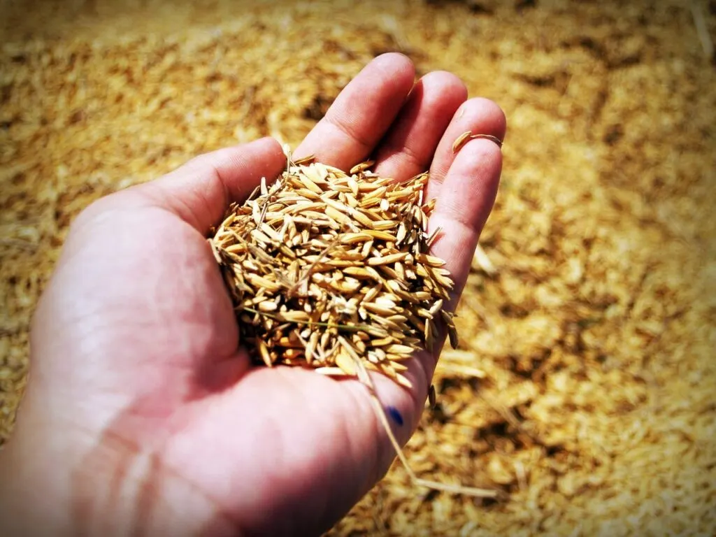 découvrez le 'cloud seeding', une technique innovante de modification climatique visant à induire la pluie et à lutter contre la sécheresse. apprenez comment cette méthode peut influencer les régimes pluviométriques et contribuer à la gestion des ressources en eau.