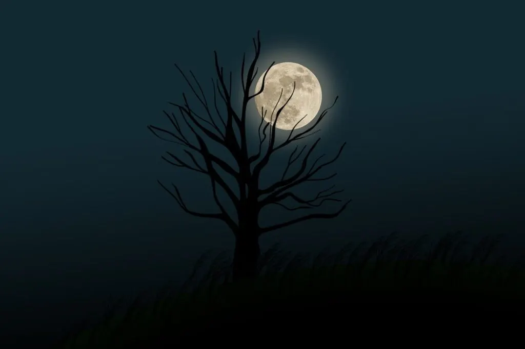 découvrez la signification et les traditions liées à la pleine lune de septembre, un événement céleste fascinant qui illumine le ciel de la rentrée. apprenez-en plus sur ses influences et son impact.