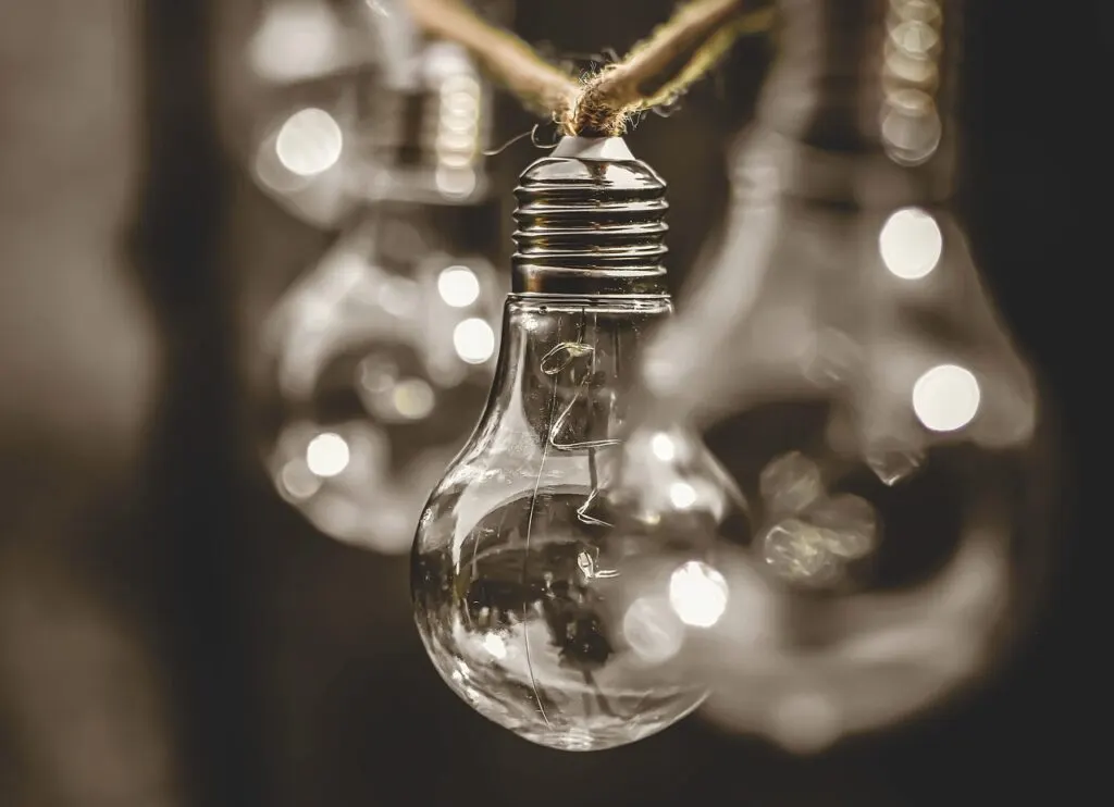 découvrez comment la durabilité peut transformer votre quotidien, préserver l’environnement et favoriser un avenir responsable grâce à des pratiques écologiques et innovantes.