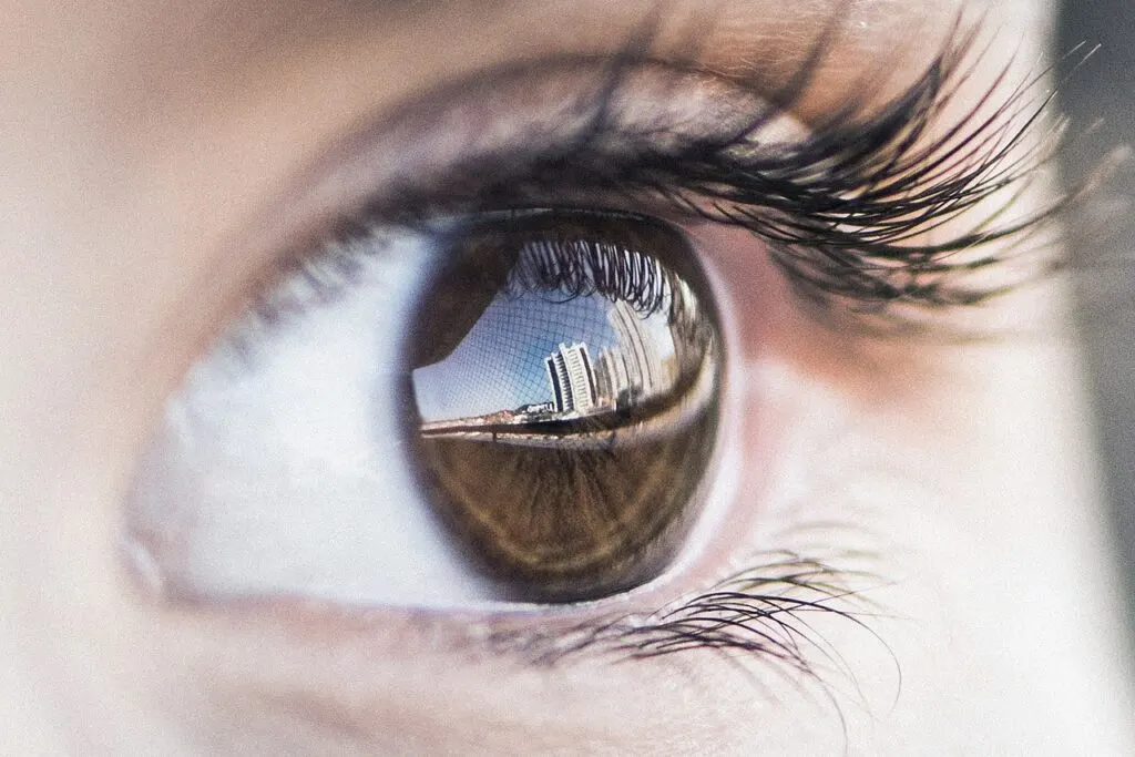 découvrez comment une vision claire peut transformer votre vie personnelle et professionnelle. conseils, exemples inspirants et méthodes pour développer une vision forte et motivante.