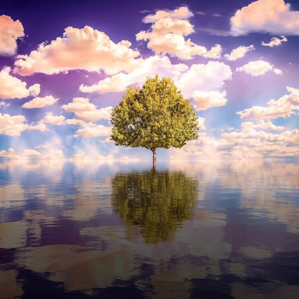 découvrez comment la croissance du cloud transforme les entreprises, booste l'agilité et optimise les coûts grâce à des solutions innovantes et sécurisées adaptées à tous les secteurs.