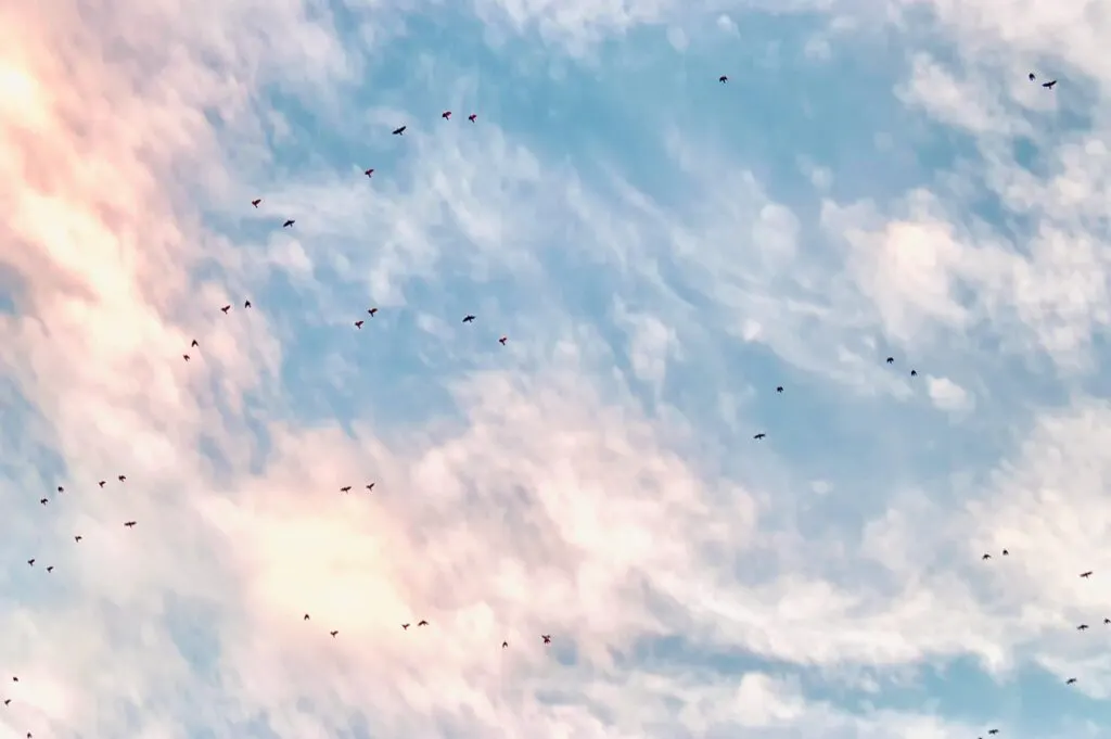 découvrez les coûts associés à la migration vers oracle cloud et optimisez votre budget grâce à notre guide complet sur la migration cloud oracle.