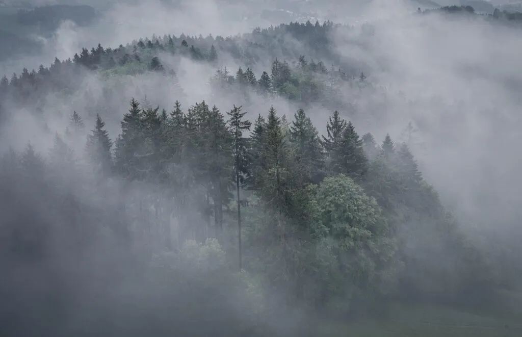 découvrez notre sélection de drones, parfaits pour la photographie aérienne, les loisirs et les professionnels. technologie avancée et maniabilité optimale.
