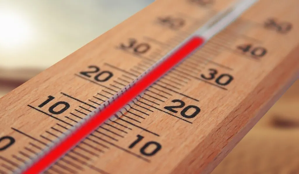 découvrez nos conseils et astuces pour bien vivre par temps chaud, rester au frais et profiter pleinement de la saison estivale en toute sécurité.