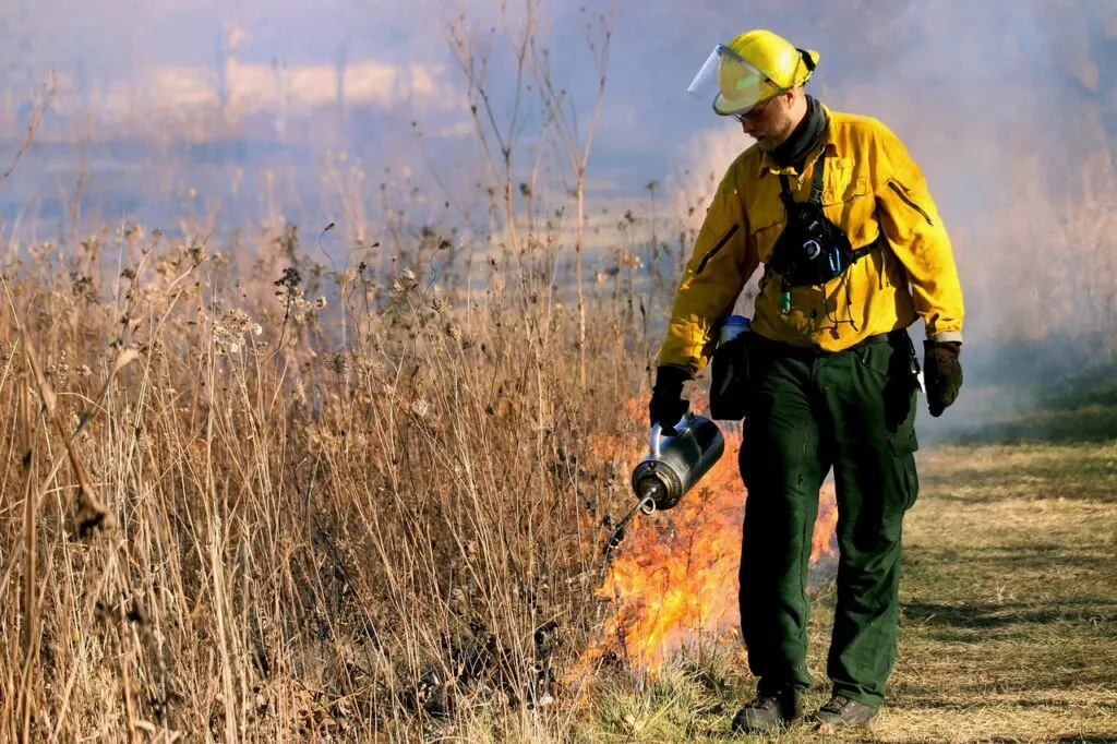 découvrez les causes, impacts et mesures de prévention des incendies de forêt pour mieux protéger notre environnement et nos communautés.