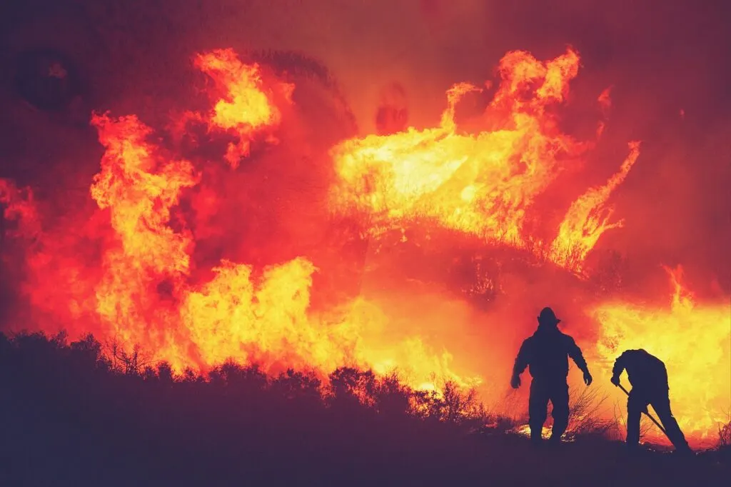 découvrez les causes, les impacts et les mesures de prévention des feux de forêt pour mieux comprendre et protéger notre environnement.