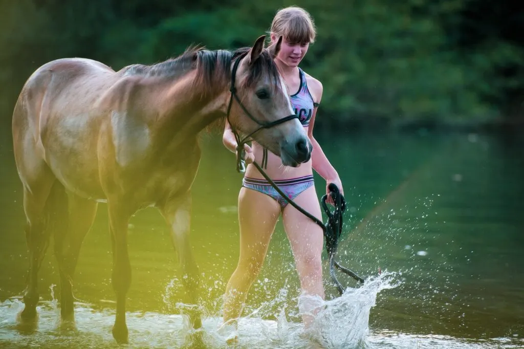 découvrez le yearling show 2026, un événement incontournable pour les passionnés de jeunes chevaux, offrant compétitions, évaluations et rencontres professionnelles.