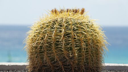 découvrez le sovereign cloud : une solution cloud souveraine qui garantit la sécurité, la conformité et le contrôle total des données, adaptée aux exigences des entreprises et des administrations françaises.