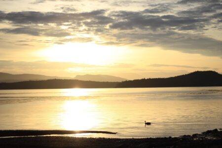 découvrez les actions liées à l'intelligence artificielle à acheter immédiatement pour profiter des opportunités de croissance dans ce secteur innovant.