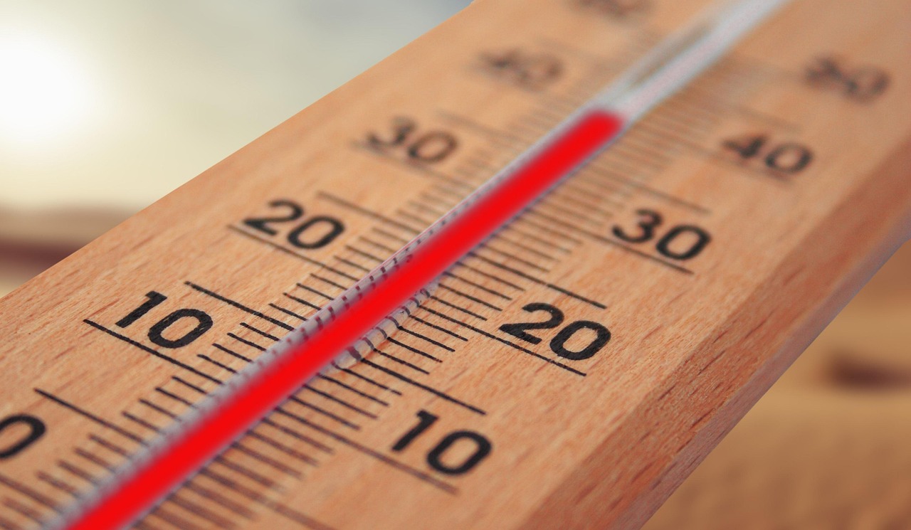 découvrez nos conseils et astuces pour bien vivre par temps chaud, rester au frais et profiter pleinement de la saison estivale en toute sécurité.