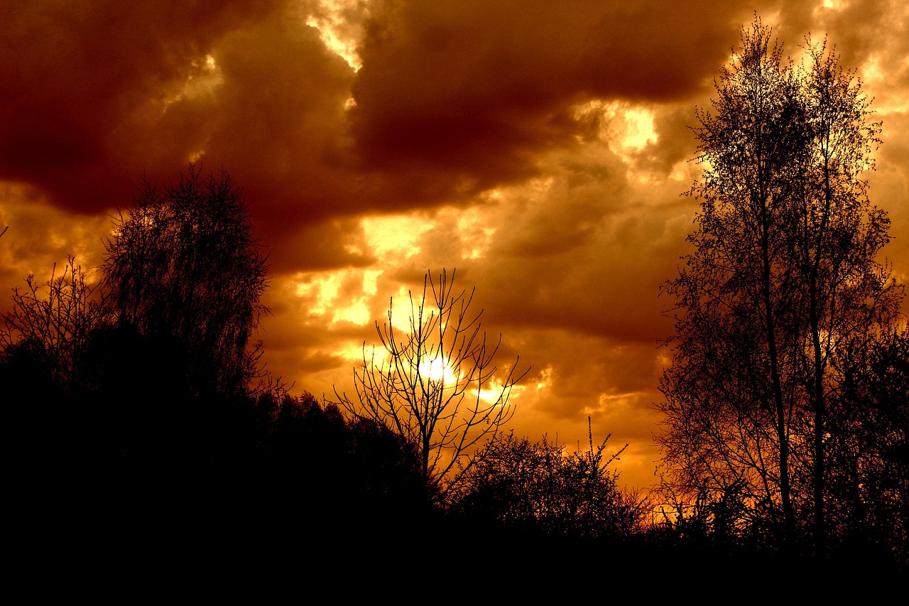 découvrez la puissance d'une tempête de printemps avec ses vents violents et ses averses soudaines, un phénomène naturel spectaculaire et impressionnant.
