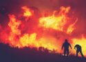 découvrez les causes, les impacts et les mesures de prévention des feux de forêt pour mieux comprendre et protéger notre environnement.