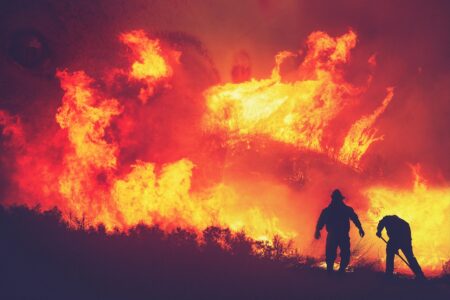 découvrez les causes, les impacts et les mesures de prévention des feux de forêt pour mieux comprendre et protéger notre environnement.